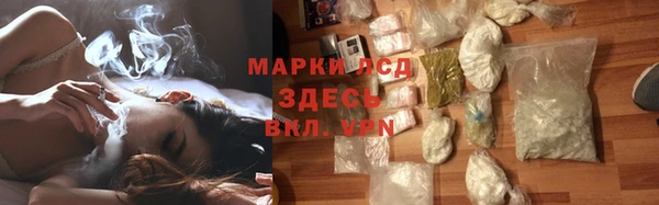 твердый Аркадак